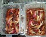 リンゴ酢でさっぱり　みょうがの甘酢漬け作り方6写真