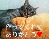 箸が止まらない❗電子レンジで無限キノコ❗作り方6写真