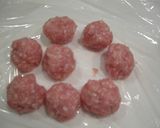 簡単スピーディー☆鶏団子と豆腐の煮物作り方1写真