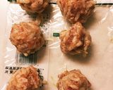簡単揚げるだけ！挽肉とモヤシの揚げ物作り方3写真