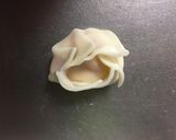 トマトとモッツァレラの揚げ餃子作り方3写真