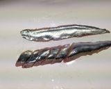 簡単♪秋刀魚のお刺身(アレンジ)作り方2写真