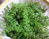 穂紫蘇の塩漬け作り方1写真
