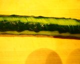 きゅうりと鶏ムネ肉の　さっぱり酢和え作り方2写真