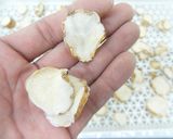 食品乾燥機で乾燥さといもの作り方作り方7写真