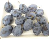 食品乾燥機でドライプルーンの作り方作り方1写真