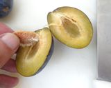 食品乾燥機でドライプルーンの作り方作り方4写真