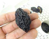 食品乾燥機でドライプルーンの作り方作り方9写真