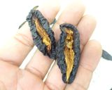食品乾燥機でドライプルーンの作り方作り方8写真