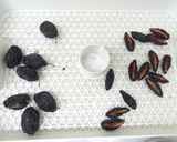 食品乾燥機でドライプルーンの作り方作り方7写真