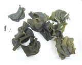 製粉機コナッピーでわかめパウダー作り作り方1写真