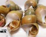 ばい貝の煮付け作り方1写真