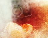 かぼちゃのチーズケーキ作り方3写真