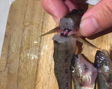 【マハゼ釣果】 素材を活かした揚げもの作り方2写真