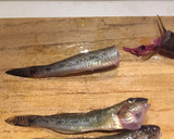 【マハゼ釣果】 素材を活かした揚げもの作り方3写真