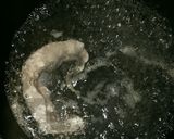 ☆焼き白子のポン酢漬け☆作り方3写真
