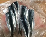 イワシとじゃがいものトマトソース焼き作り方1写真