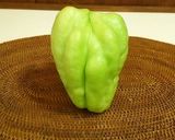 隼人ウリと鶏むねのカシスマスタードサラダ作り方1写真
