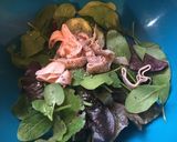 冷めても美味しいゴマ風味　簡単サラスパ作り方1写真