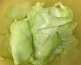 安くて激ウマ、はやとうりの簡単炒め作り方1写真