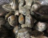 ユッケジャン　減塩だからおいしい作り方10写真