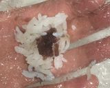 離乳食★米嫌い娘のあんこおにぎり作り方2写真