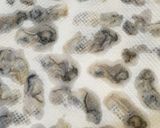 油はねなし！プリプリ牡蠣のオイル揚げ♡作り方6写真