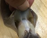 ☆イカの下処理☆作り方1写真