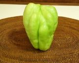 あっさり味の隼人ウリと鶏そぼろのにゅう麵作り方1写真