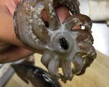 ☆イカの下処理☆作り方3写真