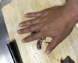 ☆イカの下処理☆作り方6写真