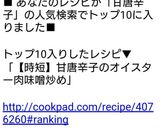 【時短】甘唐辛子のオイスター肉味噌炒め作り方7写真