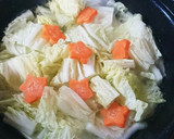 冷凍ギョーザで簡単＆時短の白菜鍋作り方3写真
