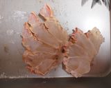 通販の冷凍カニの肩肉で簡単唐揚げ作り方2写真