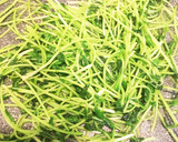 豆苗を美味しく＊豆苗の鶏がら胡麻油炒め作り方2写真