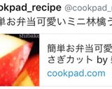 簡単お弁当可愛いミニ林檎うさぎカット作り方11写真