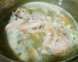 犬ご飯　グリーンカレー風ご飯作り方3写真