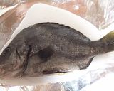 魚(真鯛)の塩釜焼き☆美しい焼き方作り方9写真