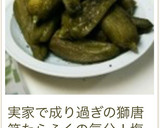 ししとう☆焼くだけ作り方5写真