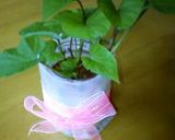 可愛いよ☆さつま芋ちゃんの葉っぱ作り方7写真