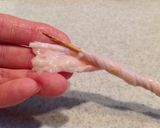 取り合いになる！絶品☆うちの鶏皮串焼き作り方3写真