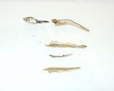 たくあんのきんぴらごぼう♪簡単フライパン作り方3写真
