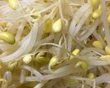 居酒屋直伝つまみシリーズ☆豆もやしナムル作り方3写真