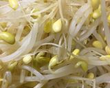 居酒屋直伝つまみシリーズ☆豆もやしナムル作り方3写真