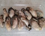 青のり入りパン粉で揚げたカキフライ作り方1写真