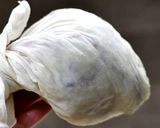 野菜たっぷり!オープンサンド作り方4写真