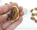 食品乾燥機で自家製ドライいちじくの作り方作り方12写真