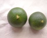 日向夏酒（ニューサマーオレンジ）作り方6写真
