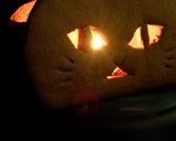 ハロウィン♡猫型クッキーのお菓子箱！作り方21写真