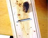 【お弁当に】里芋入り鶏つくね作り方3写真